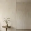 Is limewash Costly / Expensive?